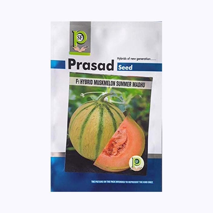 Prasad Summer Madhu Muskmelon Seeds