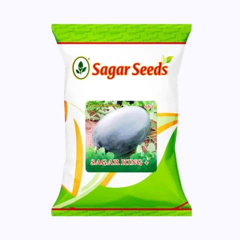 Sagar King + Watermelon Seeds
