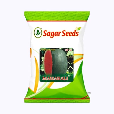 Sagar Mahabali Watermelon Seeds