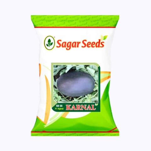 Sagar Karnal F1 Watermelon(25g)