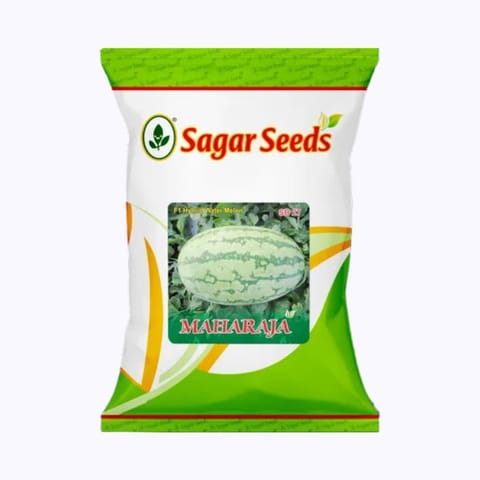 Sagar Maharaja Watermelon Seeds