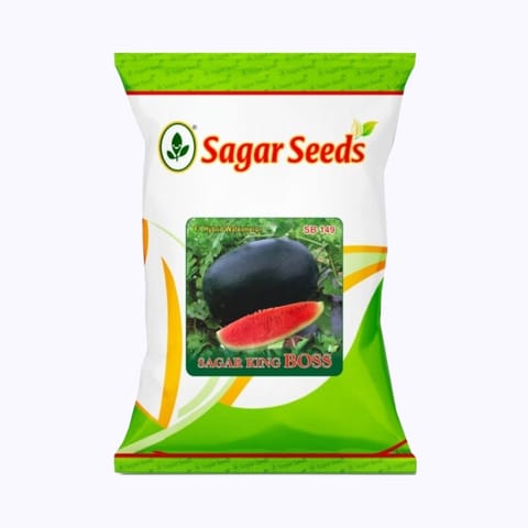 Sagar King Boss Watermelon Seeds
