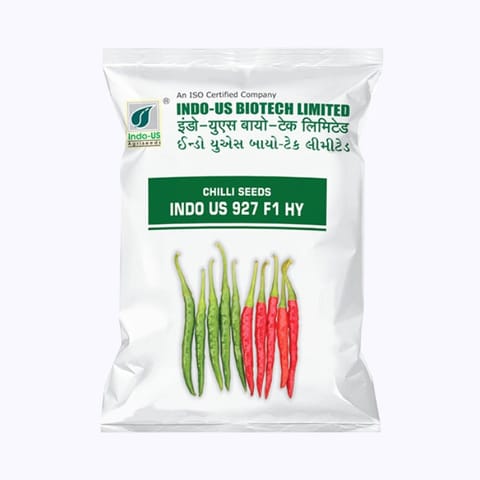 Indo-Us 927 Chilli (Mirchi) Seeds