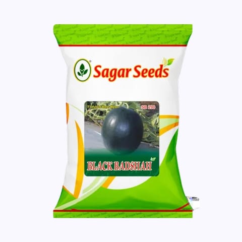 Sagar Black Badshah Watermelon Seeds