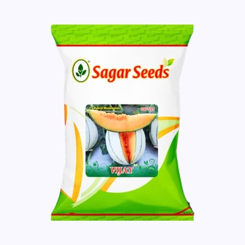 Sagar Vijay Muskmelon Seeds