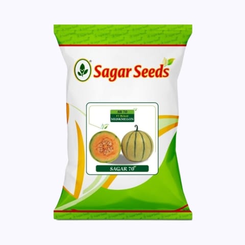 Sagar-70 Muskmelon Seeds