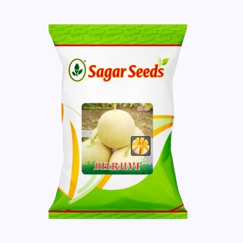Sagar Dhruvi Muskmelon Seeds