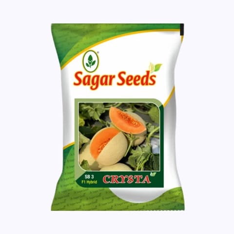 Sagar Crysta F1 Muskmelon (50g)