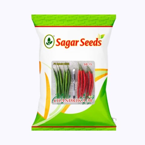 Sagar Chandrika 30 Chilli (Mirchi) Seeds