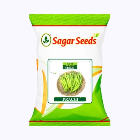 Sagar Prachi Chilli (Mirchi) Seeds