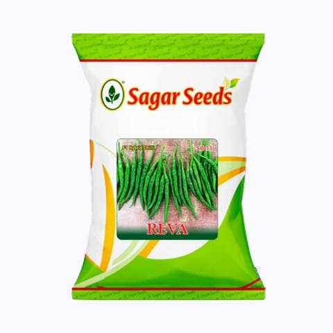 Sagar Reva Chilli (Mirchi) Seeds