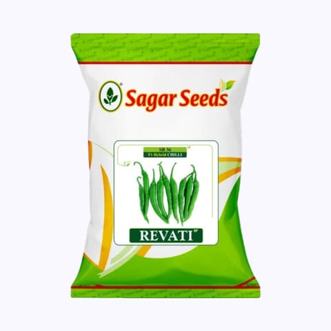 Sagar Revati Chilli (Mirchi) Seeds