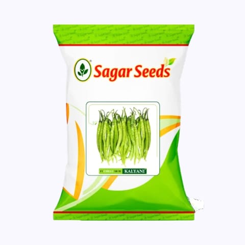 Sagar Kalyani Chilli (Mirchi) Seeds