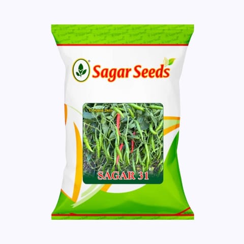 Sagar 31 Chilli (Mirchi) Seeds