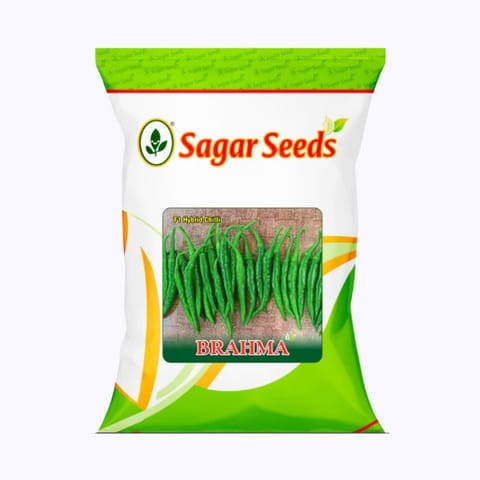 Sagar Brahma Chilli (Mircha) Seeds