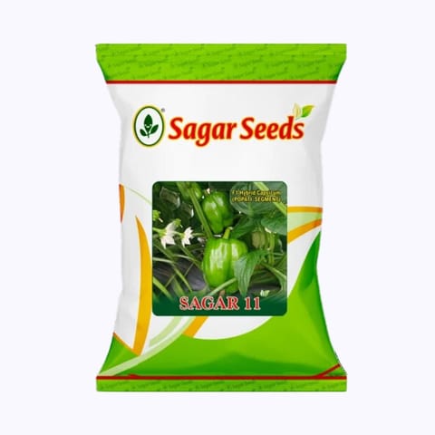 Sagar 11 Capsicum Seeds