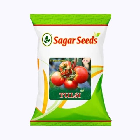 Sagar Tulsi Tomato Seeds