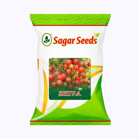Sagar Shiva Tomato Seeds