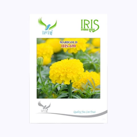 Iris IHS-690 Yellow Marigold Flower Seeds
