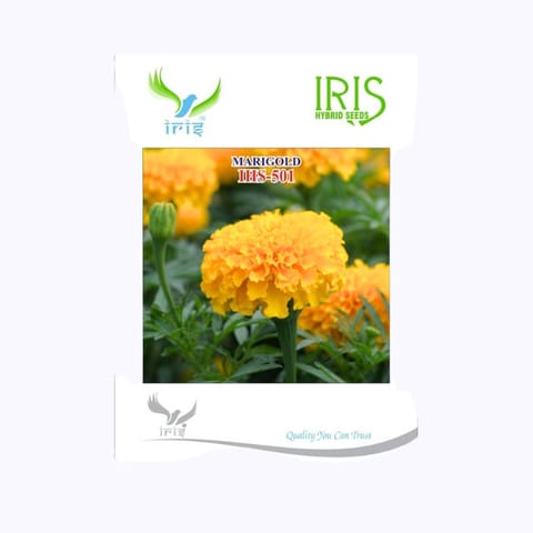Iris IHS-501 Orange Marigold Flower Seeds