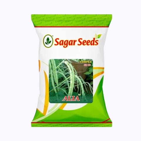 Sagar Alia Cowpea Seeds