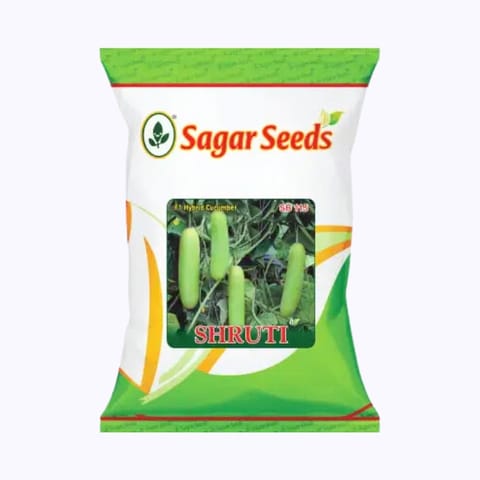 Sagar Shruti Cucumber Seeds