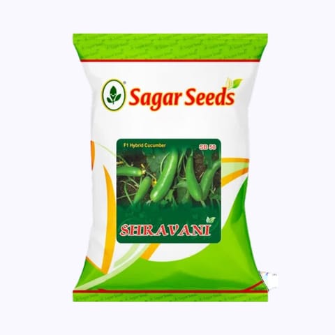 Sagar Shravani Cucumber Seeds