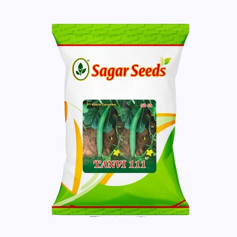Sagar Tanvi 111 Cucumber Seeds