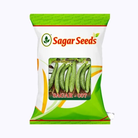 Sagar- 007 Cucumber Seeds