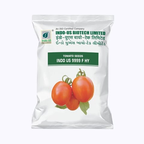 Indo-Us 9999 Tomato Seeds