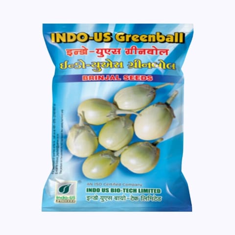 Indo-Us Greenball Brinjal Seeds