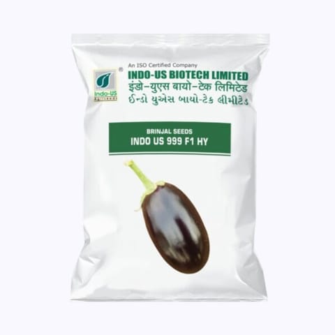 Indo-Us 999 Brinjal Seeds