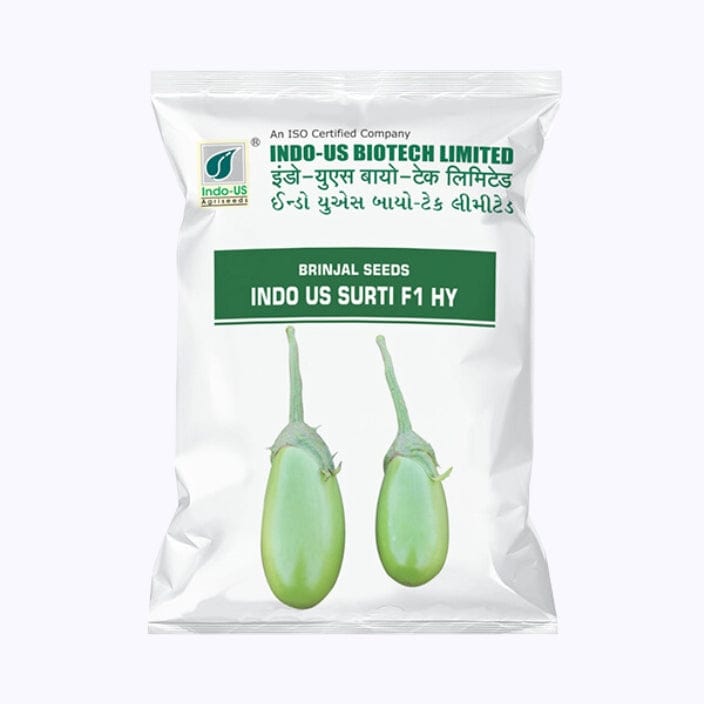 Indo-Us Surti Brinjal Seeds