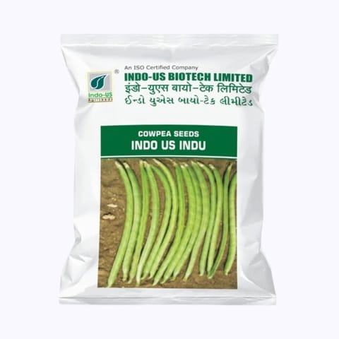 Indo-Us Indu Cowpea Seeds