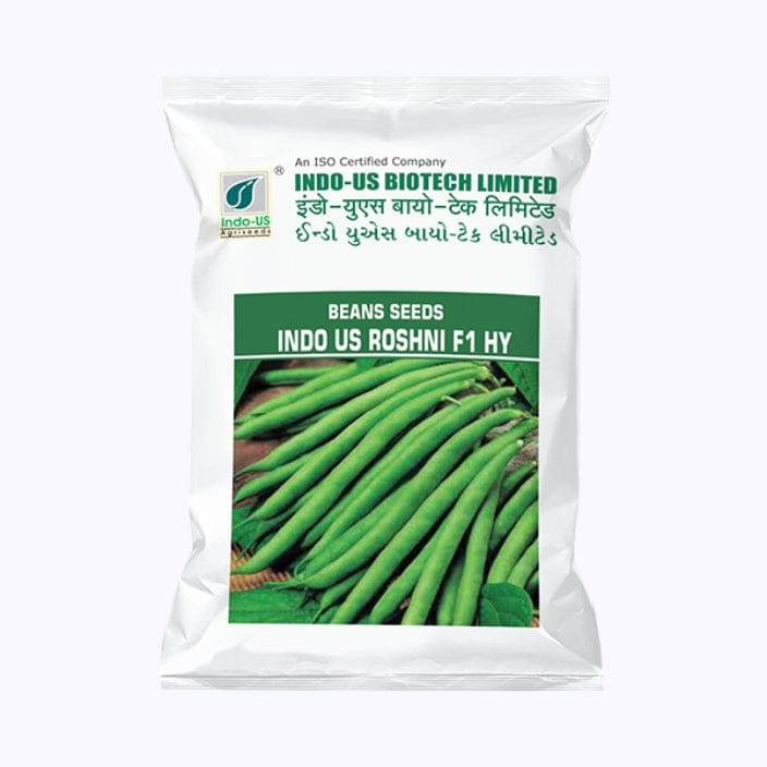 Indo-Us Roshni Beans Seeds