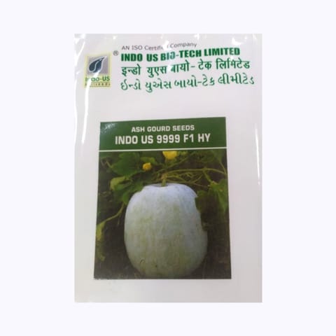 Indo-Us 9999 Ash Gourd Seeds