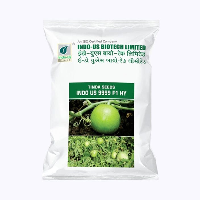 Indo-Us-9999-Tinda-Seeds