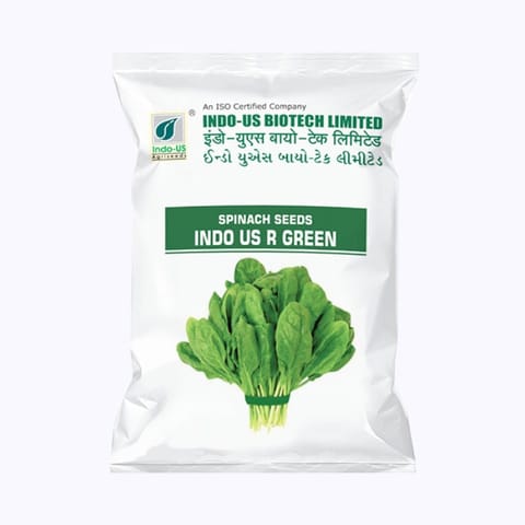 Indo-Us R Green Spinach (Palak) Seeds