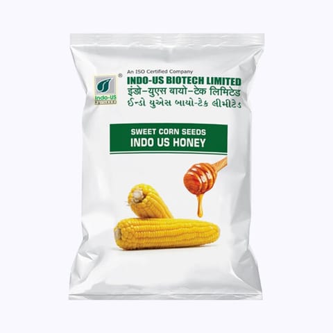 Indo-Us Honey Sweet Corn Seeds