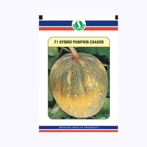 Sungro Chakor Pumpkin Seeds
