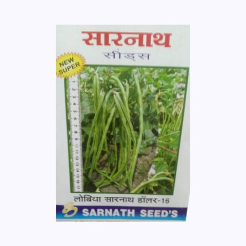 Sarnath Dollar-16 Cowpea Seeds