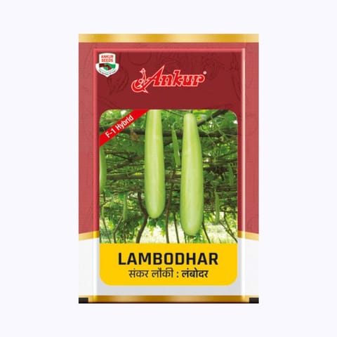 Ankur Lambodhar (Sankar) Bottle Gourd Seeds