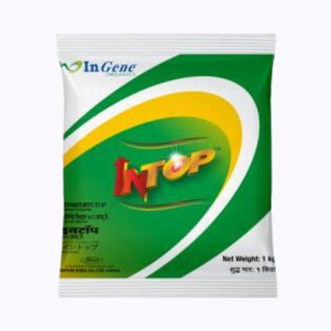 Ingene Intop Fungicide - Thiophanate Methyl 70 % WP