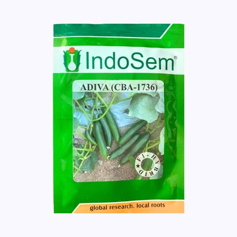 Indosem Adiva Cucumber Seeds