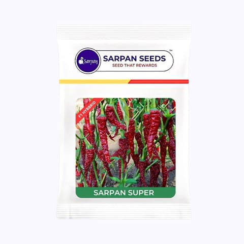 Sarpan Super Dabbi Byadgi Chilli Seeds