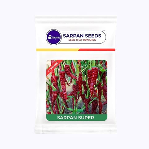 Sarpan Super ( Dabbi Byadgi Chilli seeds )