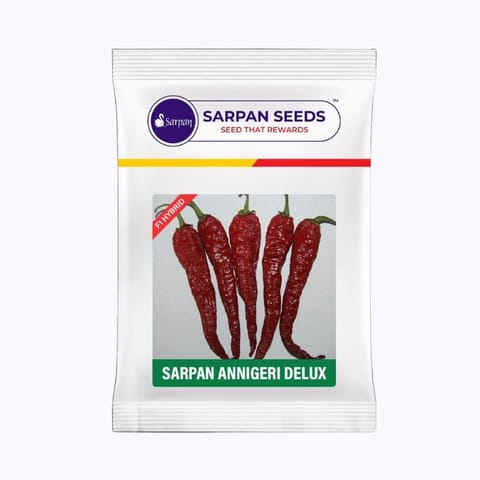 Sarpan Annigeri Delux Chilli Seeds