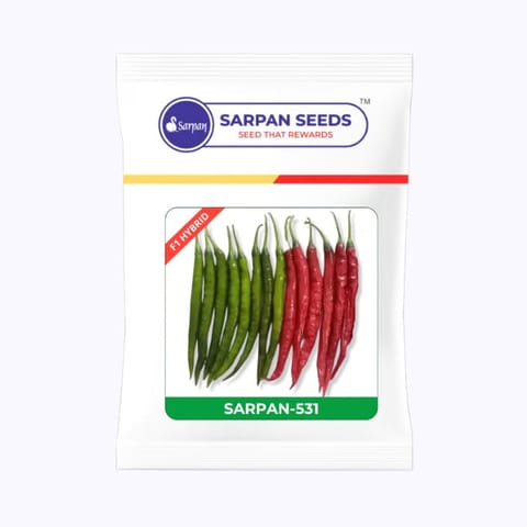 Sarpan 531 Chilli Seeds