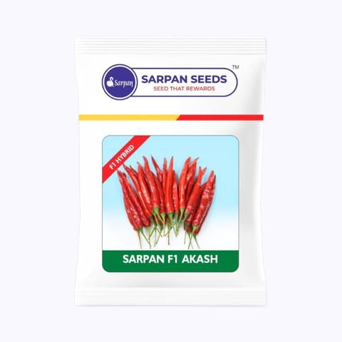 Sarpan Akash Chilli Seeds
