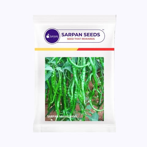 Sarpan Mahalaxmi Chilli Seeds